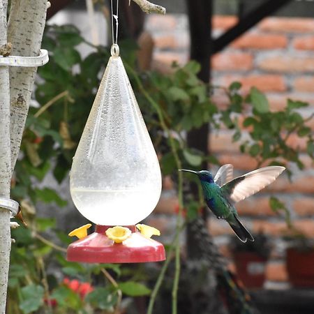 Colonial House Inn Кіто Екстер'єр фото